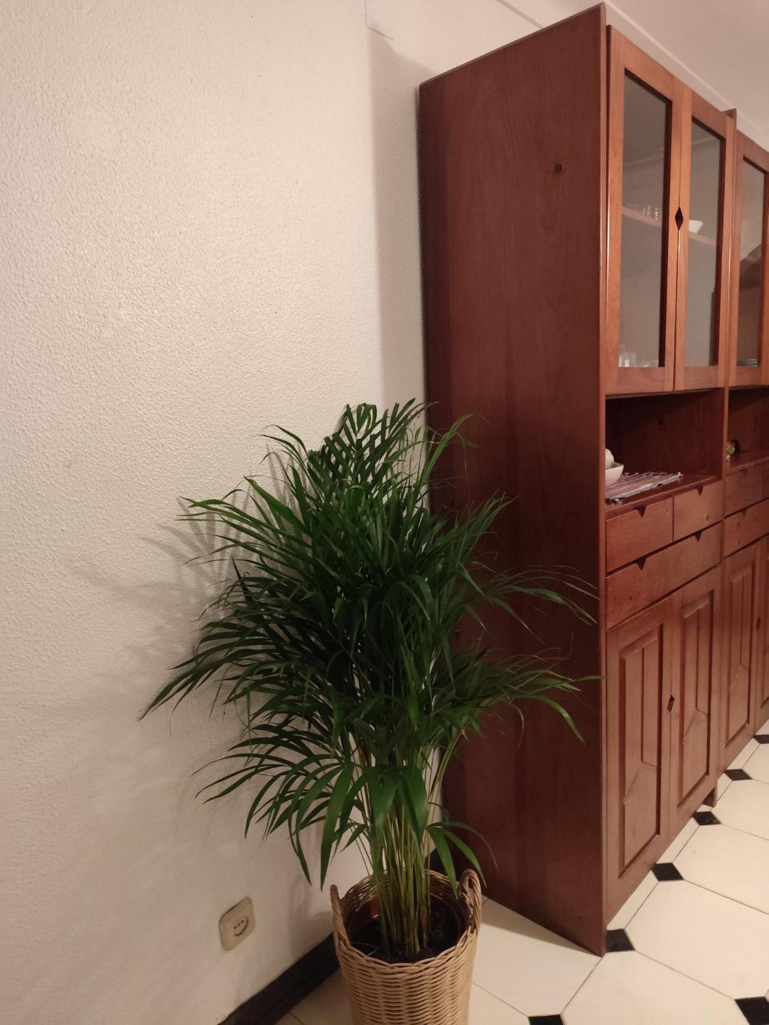Casa Das Flores Albufeira Ngoại thất bức ảnh